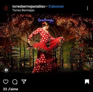Flamenco à Madrid, Espagne