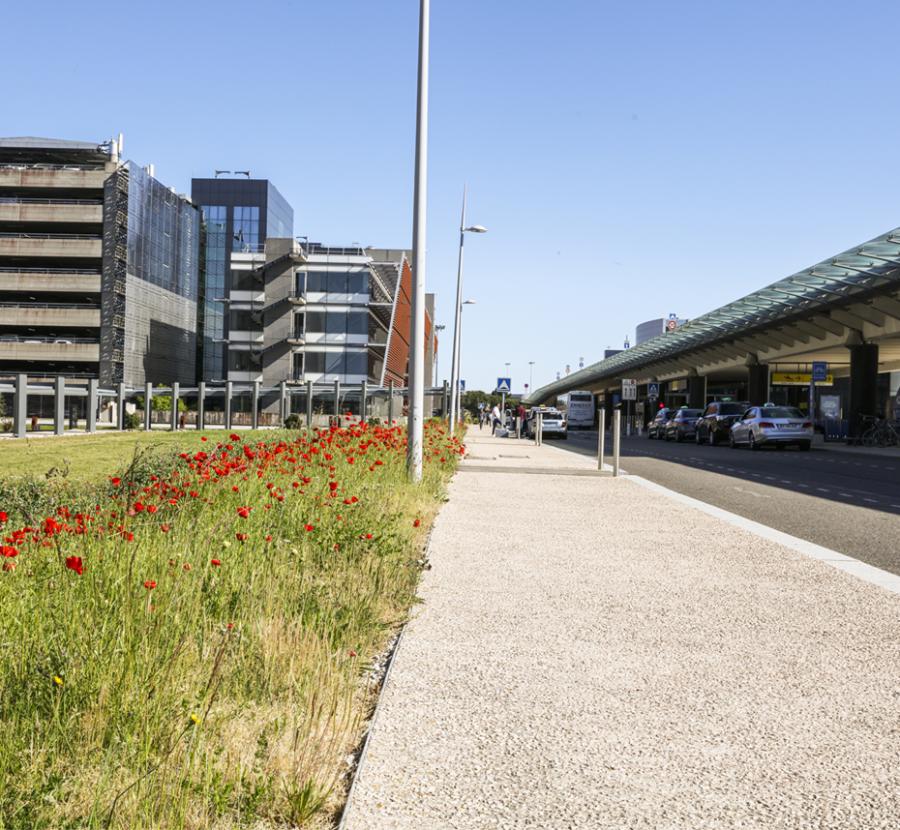 Home Aéroport Toulouse Blagnac