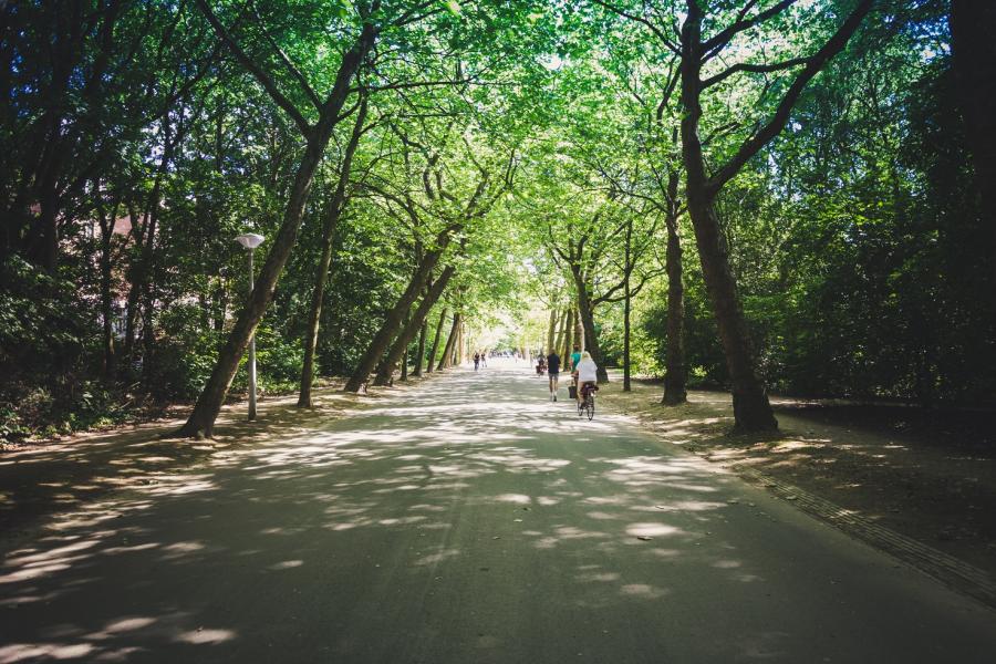 Amsterdam en été