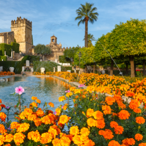 Espagne_Andalousie_Cordoue_Alcazar