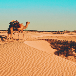 dunes en tunisie