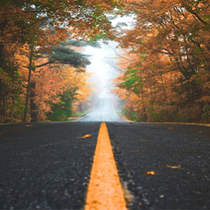 route bordée d'arbre aux couleurs automnale au Canada