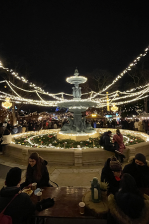 marché de noël a Genève 