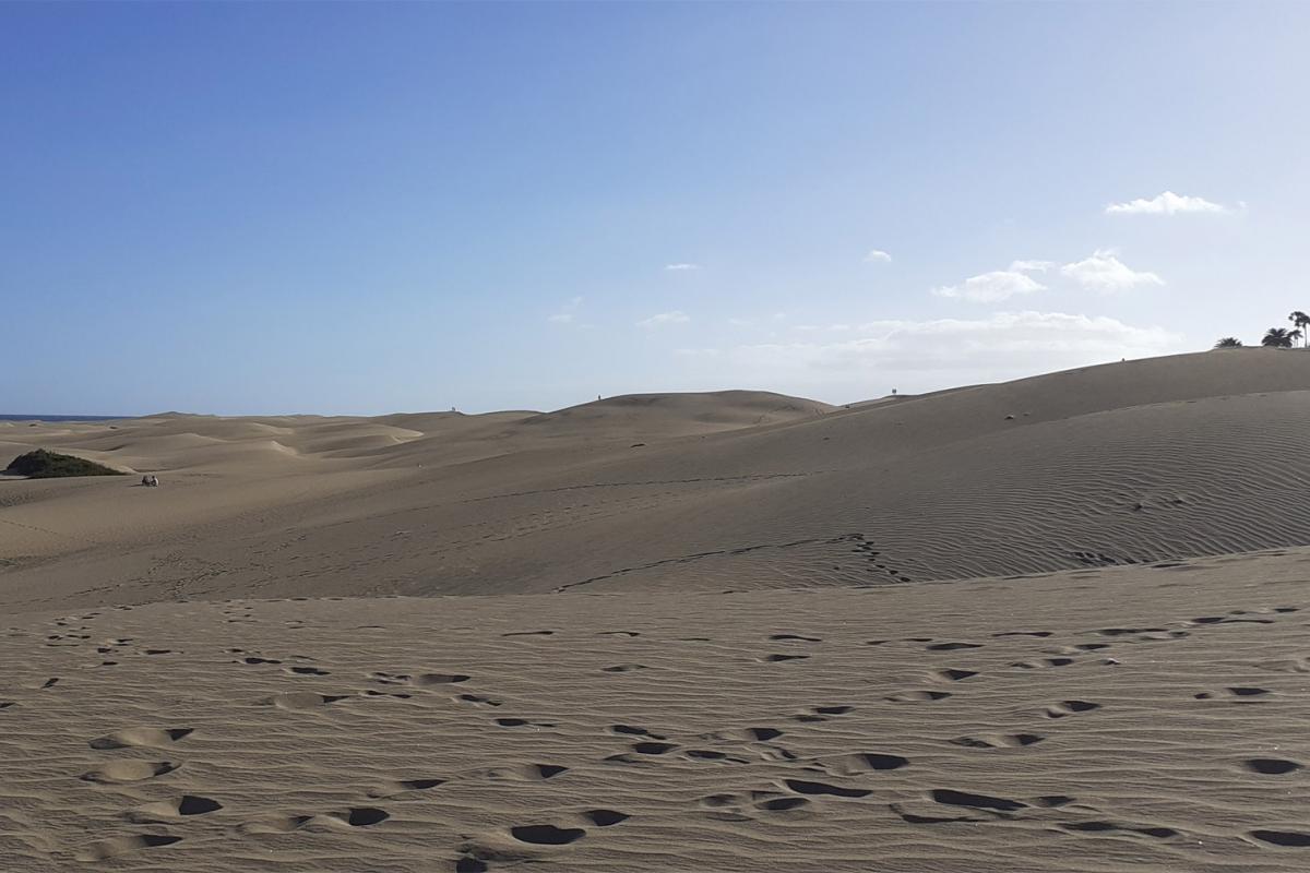 dunas de maspalomas