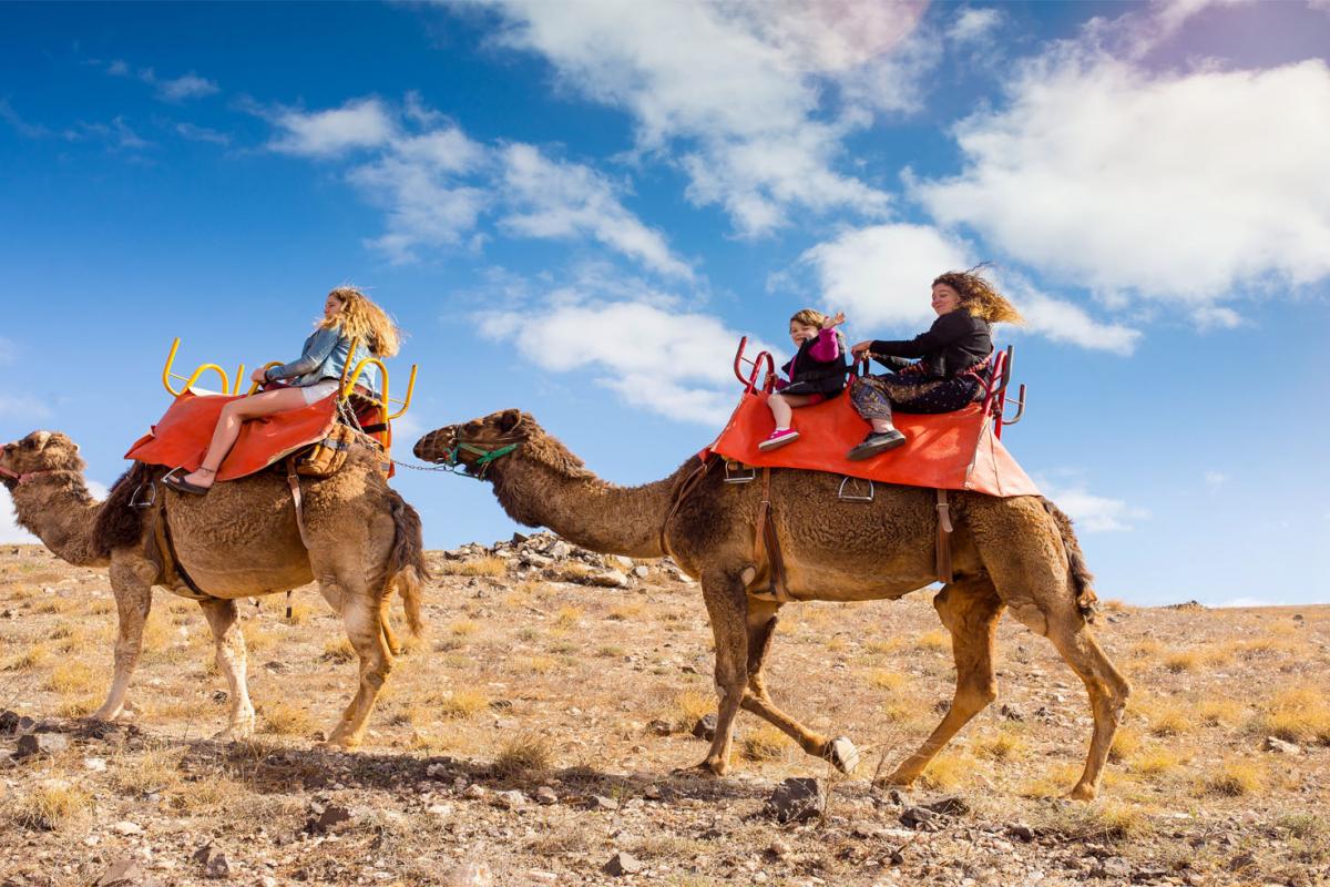 Balade à dos de chameaux, îles Canaries, Espagne